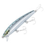 Chrome Sardine