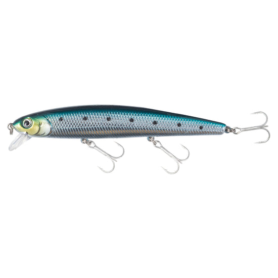 Chrome Sardine
