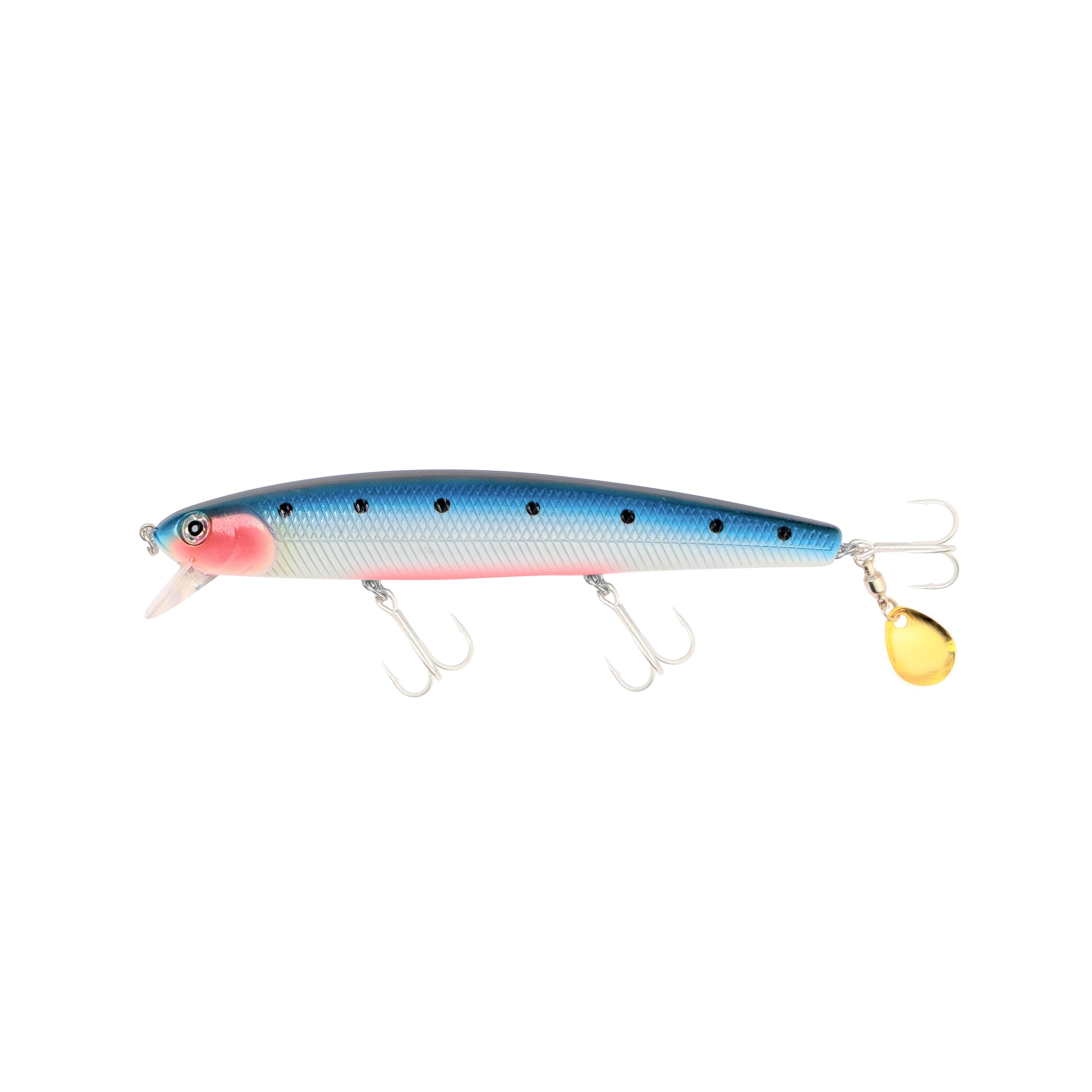 Pink Headed Sardine Glow
